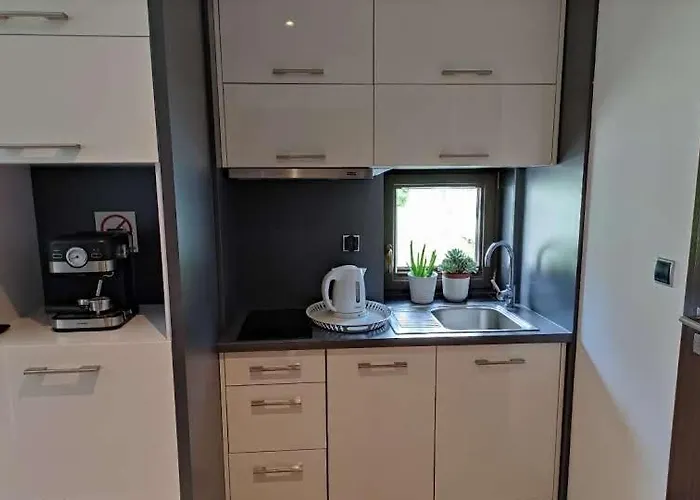 Apartment Apartamenty Czerwone Maki Wisla Wisla