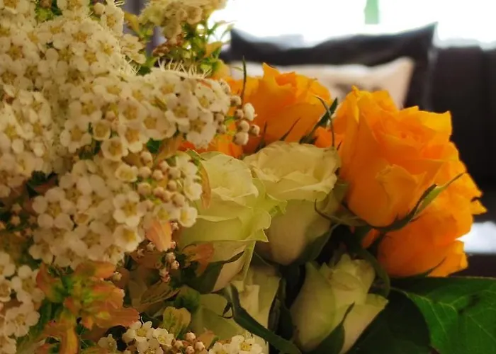 Czerwone Maki * ויסלאו